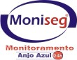 Moniseg